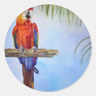 MACAW Parrot Bird Tropical Beach Theme Painting Classic Round Sticker