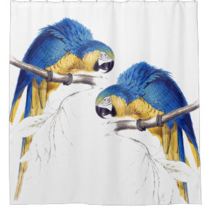 Macaw Parrot Birds Wildlife Animals Shower Curtain