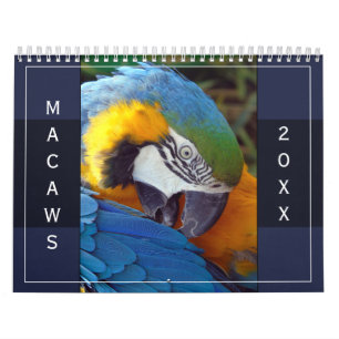 Macaw Parrot Blue Gold Scarlet Hyacinth 2027 Bird Calendar