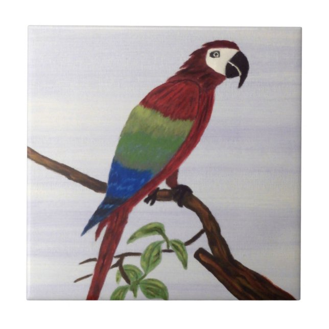 Macaw Parrot Ceramic Tile (Front)
