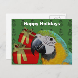 Macaw Parrot Christmas Holiday Postcard