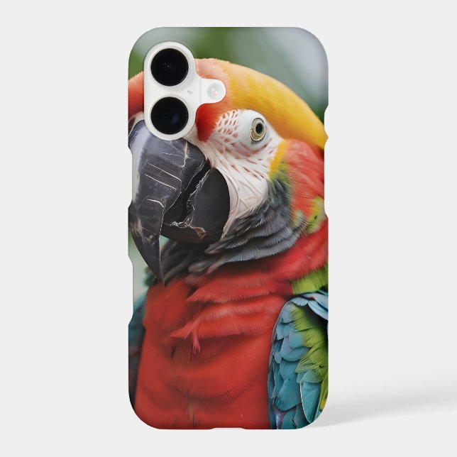 Macaw parrot colorful  (Back)