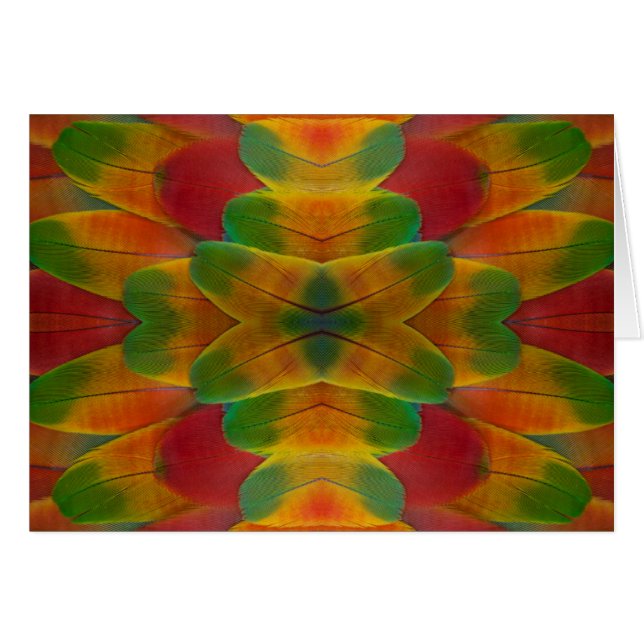 Macaw parrot feather kaleidoscope (Front Horizontal)
