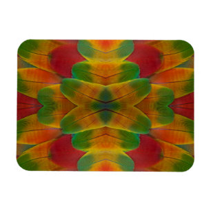 Macaw parrot feather kaleidoscope magnet