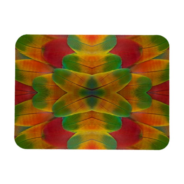 Macaw parrot feather kaleidoscope magnet (Horizontal)