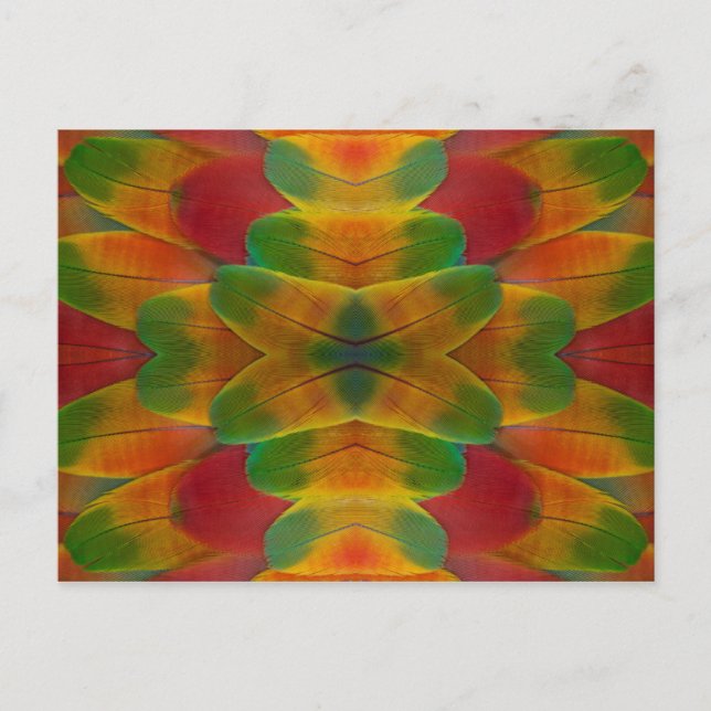 Macaw parrot feather kaleidoscope postcard (Front)