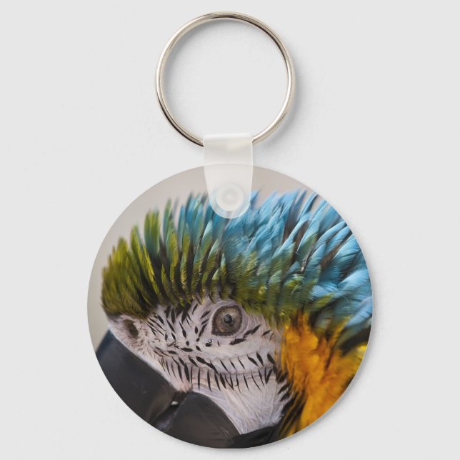 Macaw Parrot - Keychain (Front)