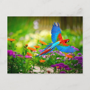 Macaw Parrot Postcard