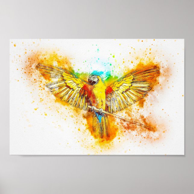 Macaw parrot poster (Front)