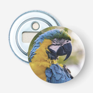 Macaw Parrot Profile Portrait Photograph Bottle Opener