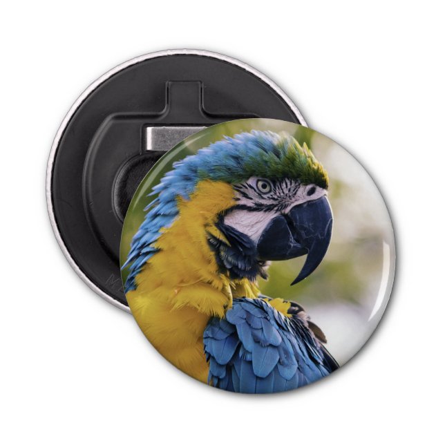 Macaw Parrot Profile Portrait Photograph Bottle Opener (Front)