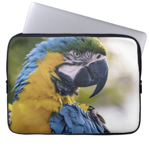 Macaw Parrot Profile Portrait Photograph Laptop Sleeve