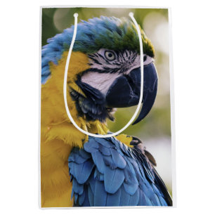 Macaw Parrot Profile Portrait Photograph Medium Gift Bag