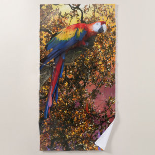 MACAW PARROT RAIN FOREST OUTPOST BEACH TOWEL