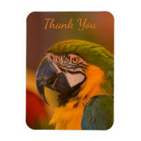 Macaw Parrot Thank you