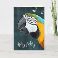 Macaw Parrot with Bubbles Birthday