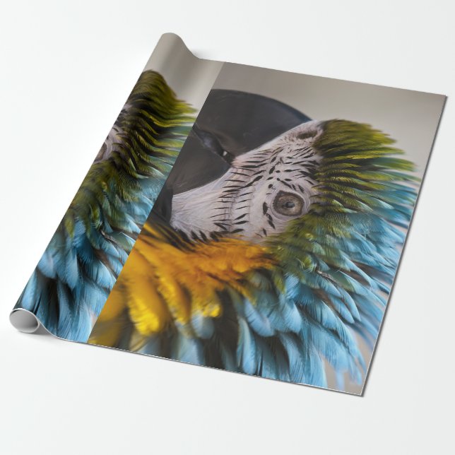 Macaw Parrot Wrapping Paper (Unrolled)
