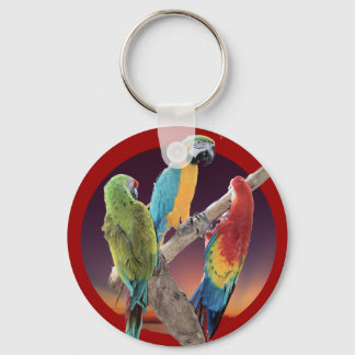 Macaw Parrots Key Ring