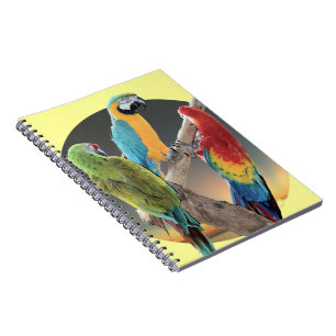 Macaw Parrots Notebook