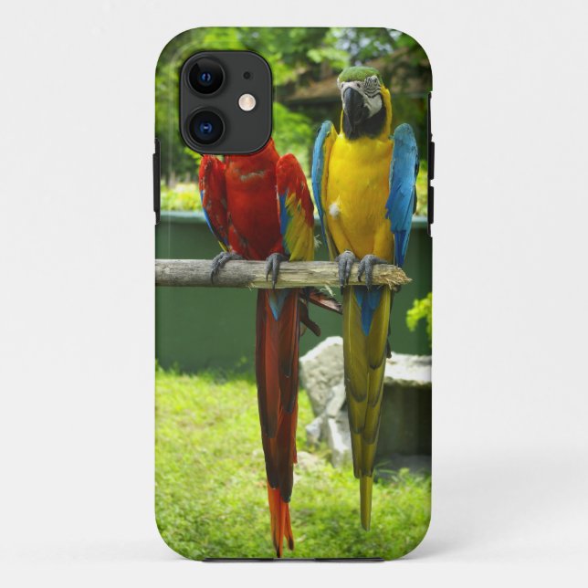 Macaw phone case (Back)