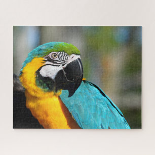 Macaw Print, Value Poster Paper (Matte) Jigsaw Puzzle