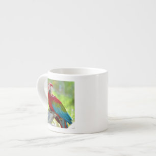 Macaw sitting on branch espresso cup