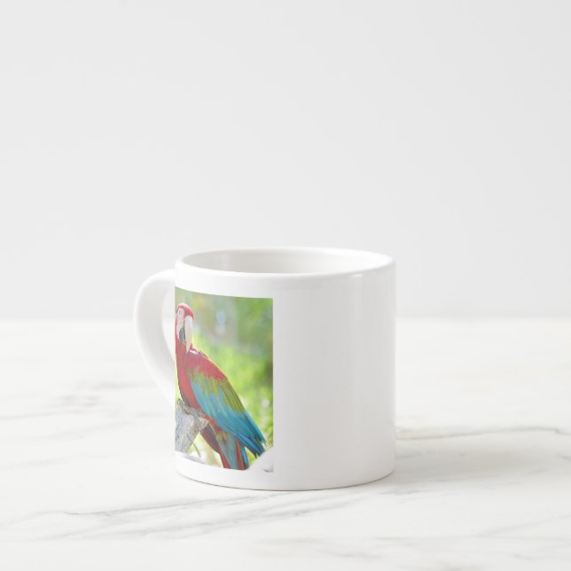 Macaw sitting on branch espresso cup (Front Left)