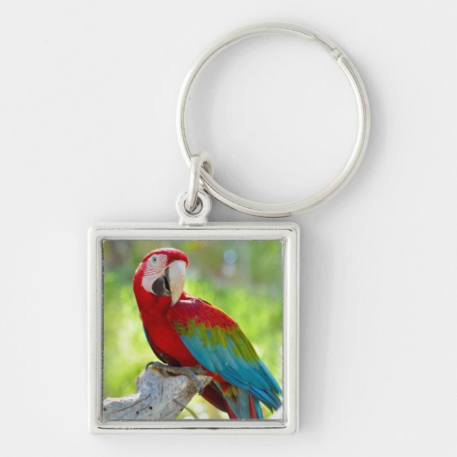 Macaw sitting on branch key ring (Front)
