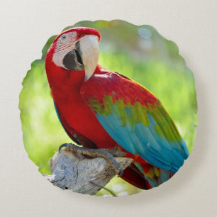 Macaw sitting on branch round cushion