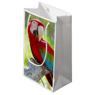 Macaw sitting on branch small gift bag
