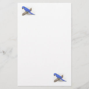 Macaw Stationery