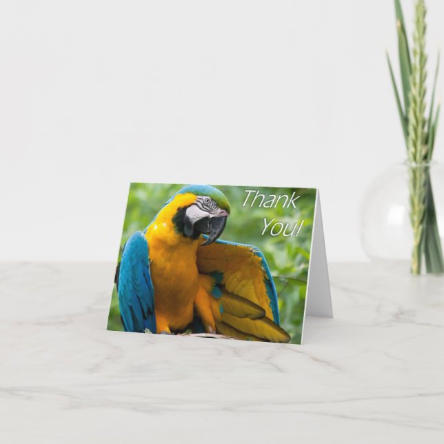 Macaw Thank You Notecards (Front)