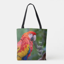 Macaw