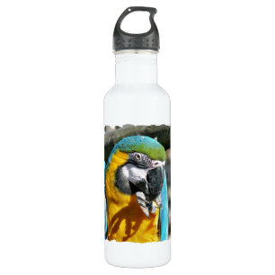 MACAWS 710 ML WATER BOTTLE