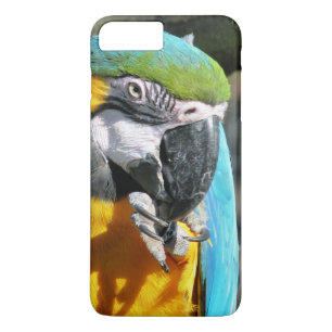 MACAWS iPhone 8 PLUS/7 PLUS CASE
