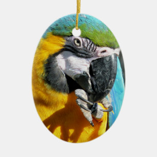 MACAWS CERAMIC TREE DECORATION