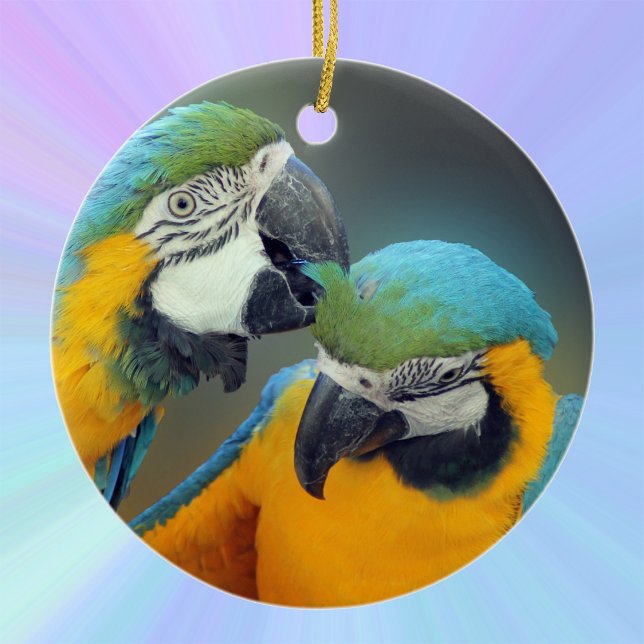 Macaws in love ceramic ornament (Creator Uploaded)