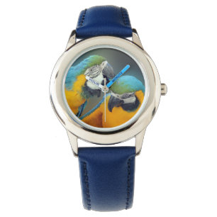 Macaws in love watch