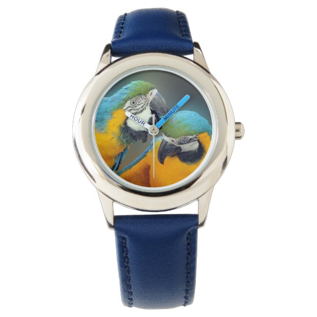 Macaws in love watch (Front)
