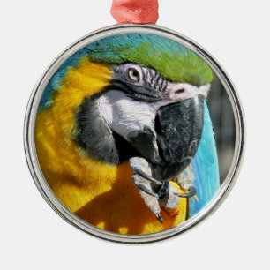 MACAWS METAL TREE DECORATION