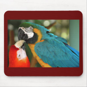 Macaws Mouse Pad