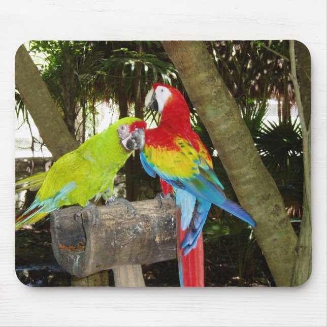 Macaws Mousepad (Front)