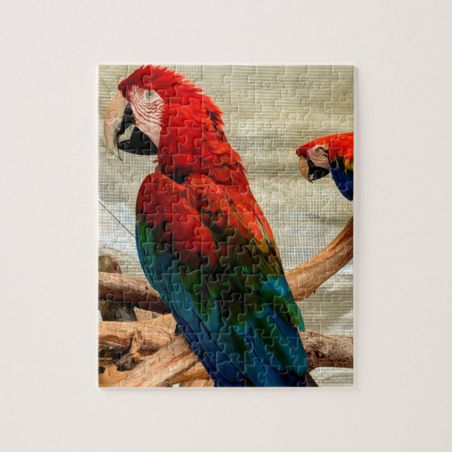 Macaw's on tree limb puzzle (Vertical)