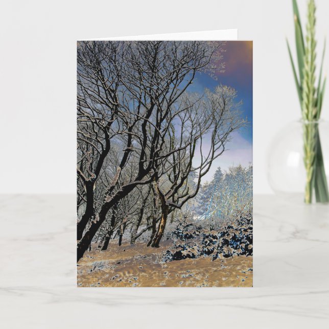 Macclesfield Forest Winter Card (Front)