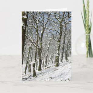 Macclesfield Forest Winter Card