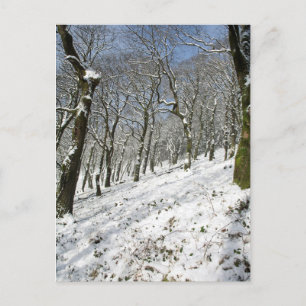 Macclesfield Forest Winter Card