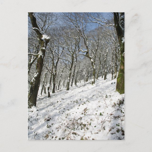 Macclesfield Forest Winter Card (Front)