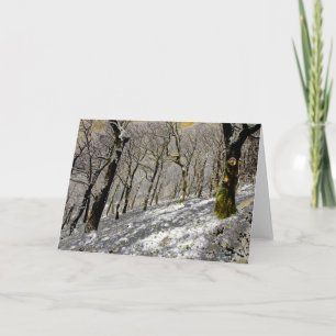 Macclesfield Forest Winter Card