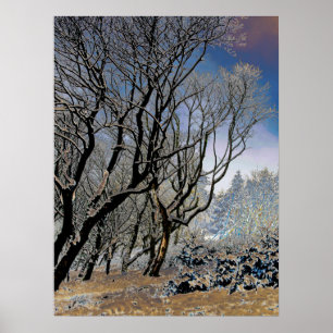 Macclesfield Forest Winter Card Acrylic Print