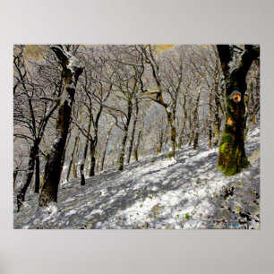 Macclesfield Forest Winter Card Acrylic Print